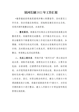 镇河长制2022年工作汇报