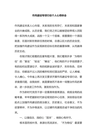 作风建设专项行动个人心得体会