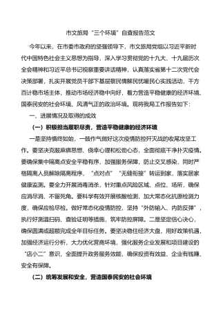 市文旅局三个环境自查报告