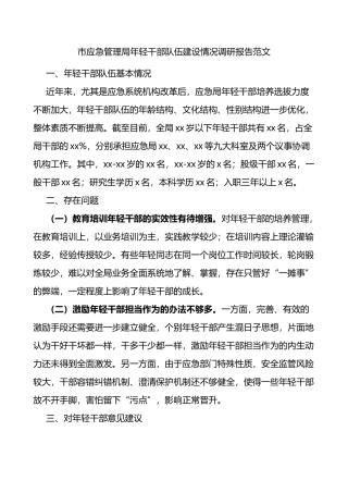 市应急管理局年轻干部队伍建设情况调研报告范文