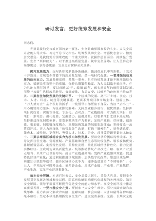 研讨发言：更好统筹发展和安全