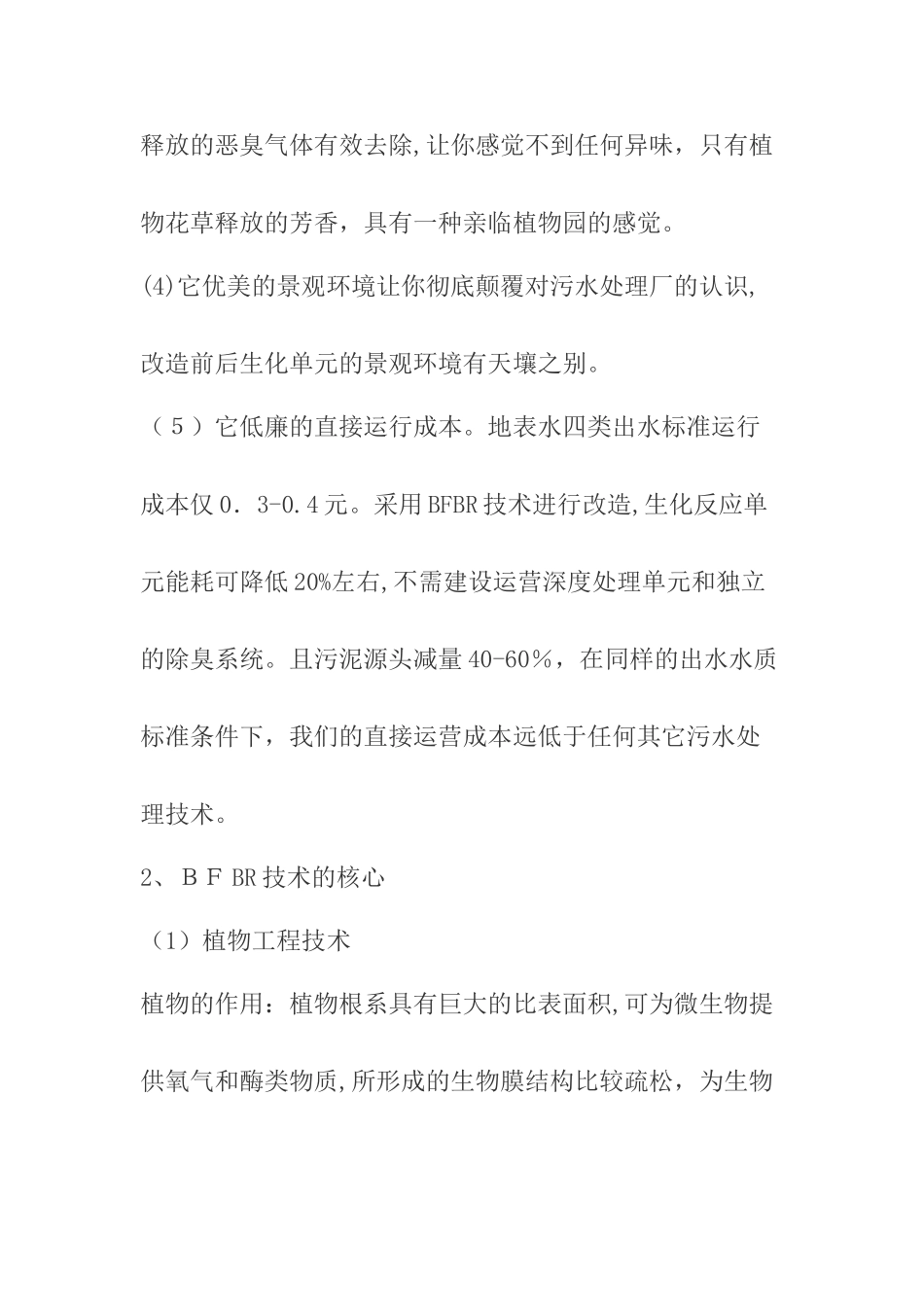 2024年BFBR生态处理技术_第2页