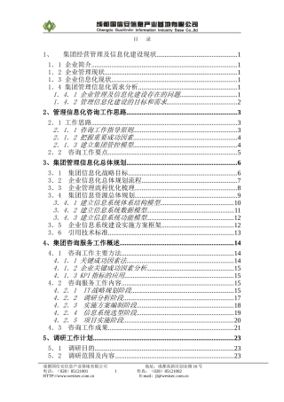 2024年咨询服务方案框架模板