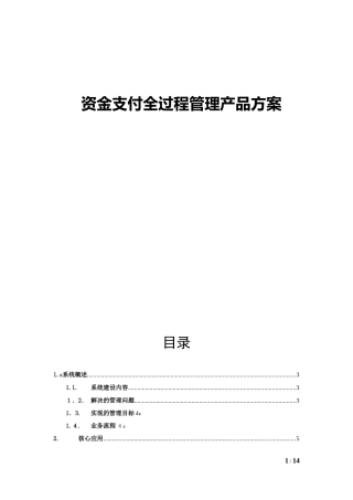 2024年资金支付全过程管理解决方案
