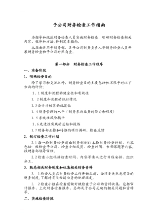 2024年子公司财务检查工作指南