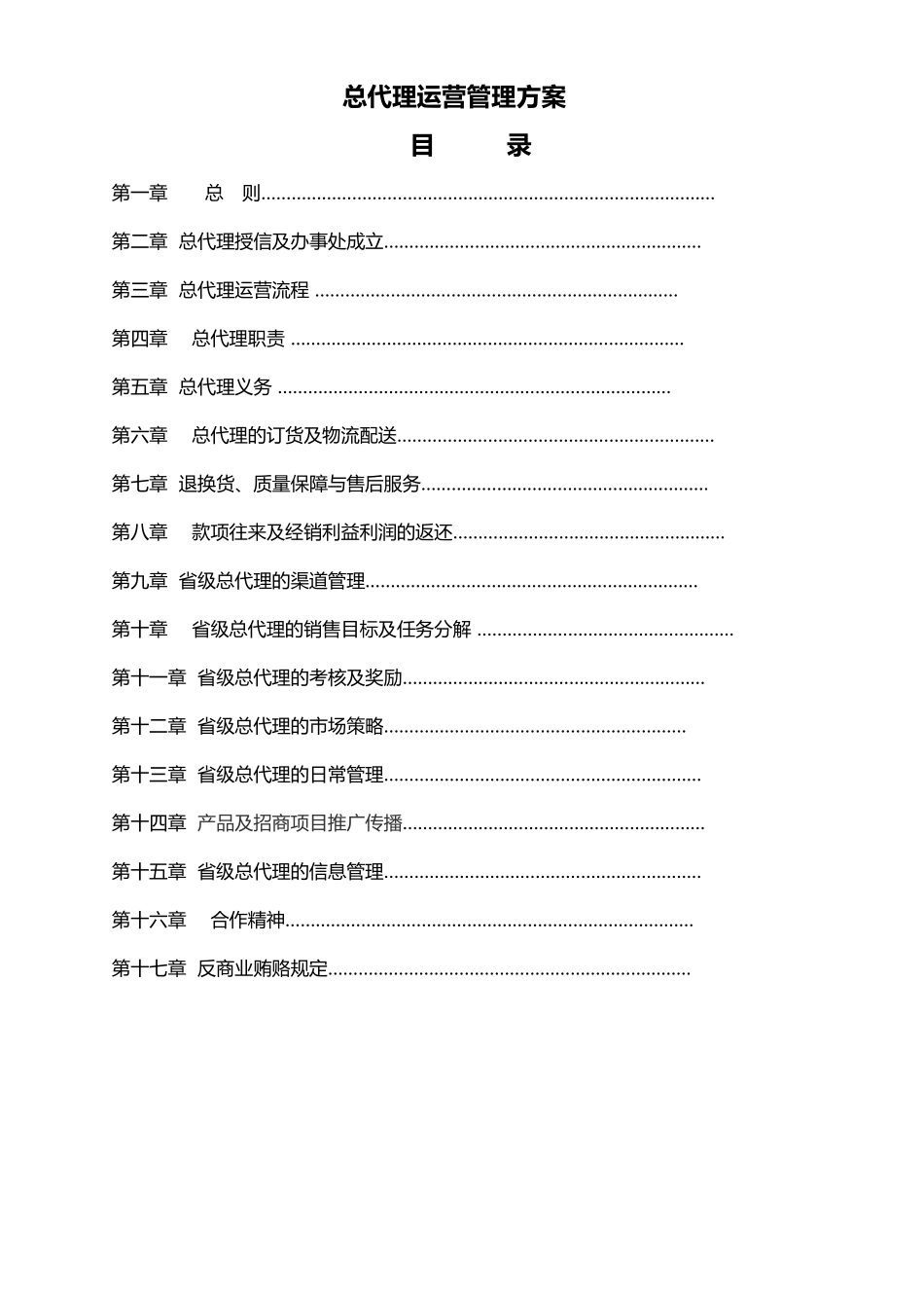 2024年总代理运营管理及方案_第1页