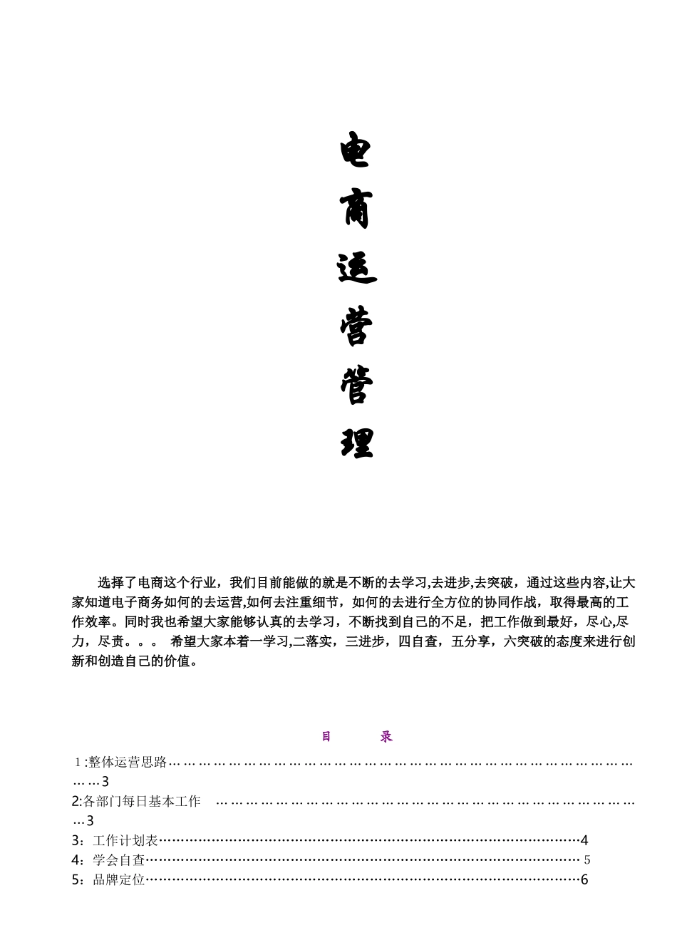 2024年最新电商运营管理手册_第2页