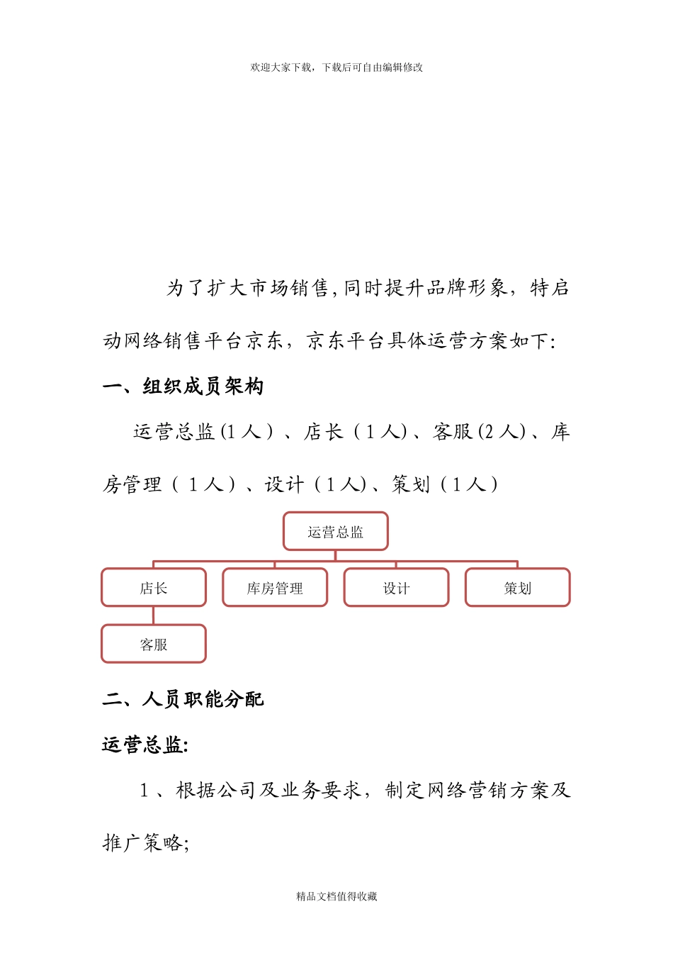 2024年最新淘宝天猫京东电商运营方案_第2页