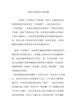 2024年解读乡村振兴中的问题