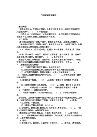 2024年口腔解剖复习笔记