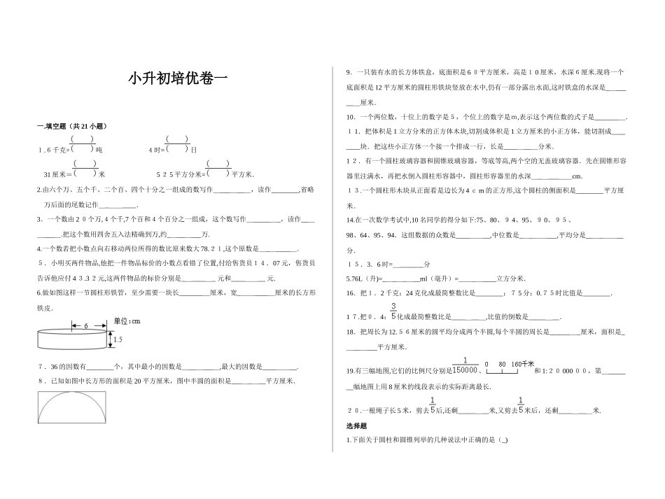 2024年六年级数学试题小升初培优卷一苏教版_第1页