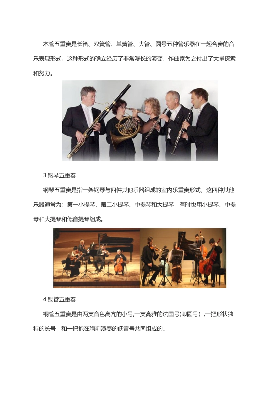 2024年茂名教师招聘考试音乐之器乐演出体裁_第2页