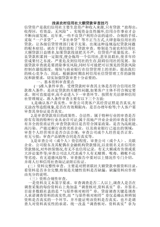 2024年农村信用社大额贷款审查技巧