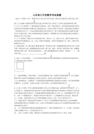 2024年山东省小升初数学考试模拟真题