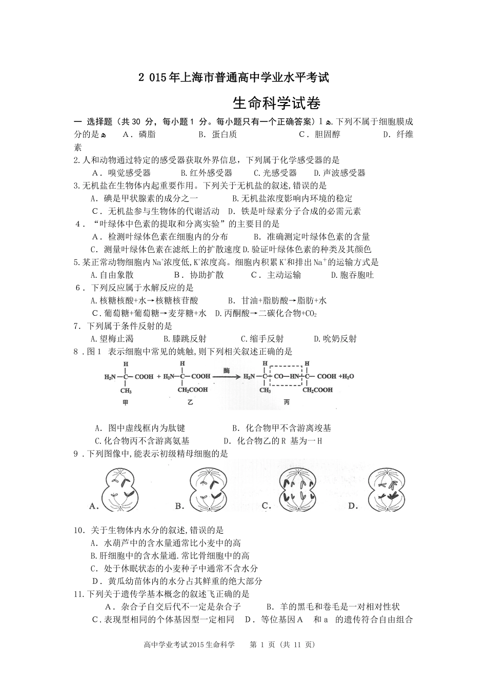 2024年上海高中生物学业水平考试真题及答案_第1页