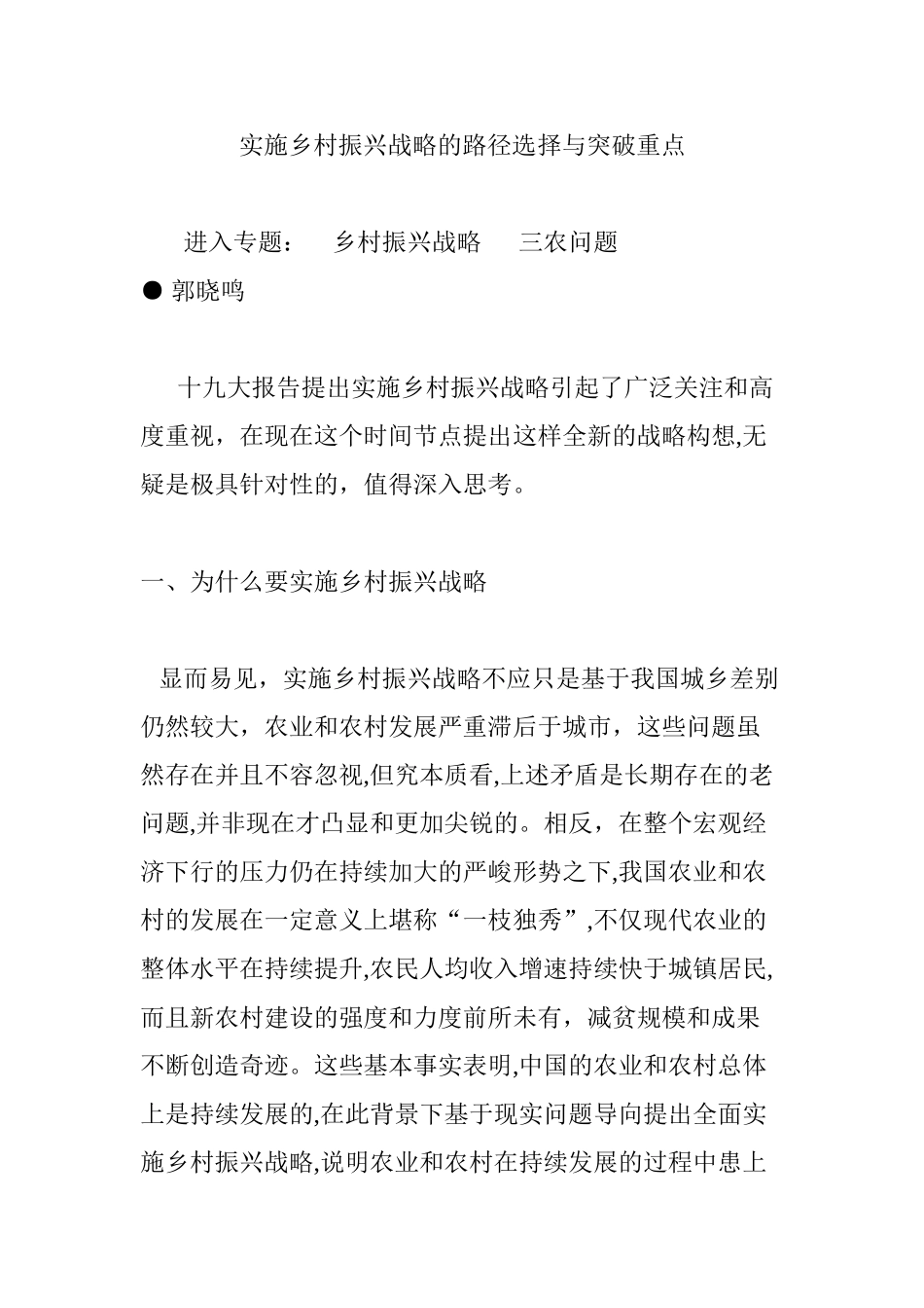 2024年实施乡村振兴战略的路径选择与突破重点_第1页