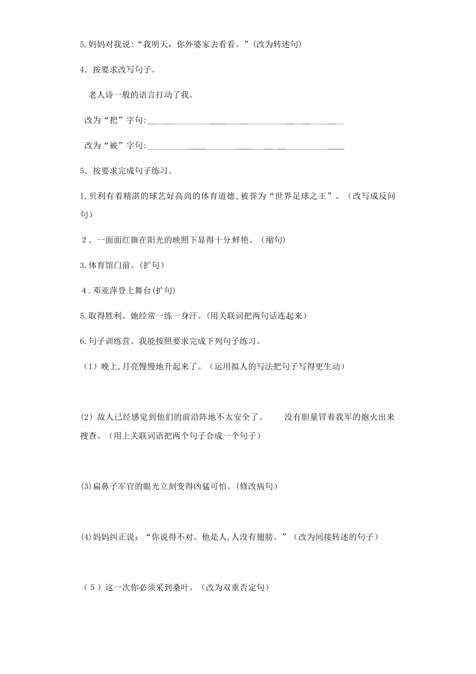 2024年苏教版语文小升初招生考试专项练习句式转换_第2页
