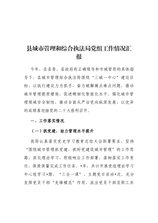 县城市管理和综合执法局党组工作情况汇报