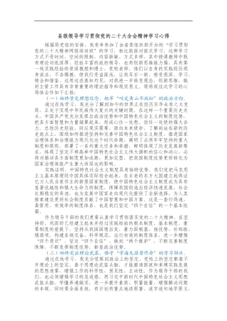 县级领导学习贯彻党的二十大全会精神学习心得