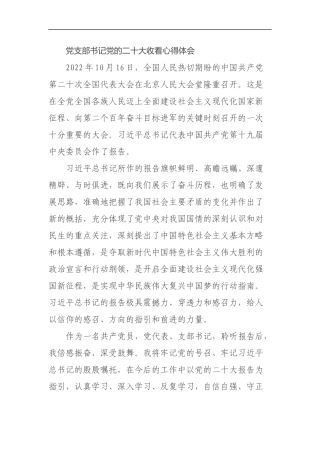 党支部书记党的二十大收看心得体会