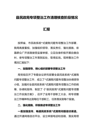 县民政局专项整治工作清理核查阶段情况汇报