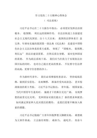 二十大精神心得体会（司法系统）