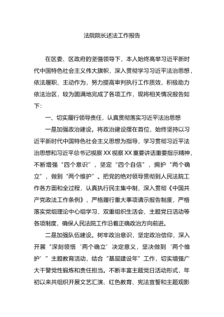 法院院长述法工作报告（述职）