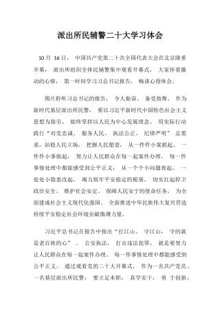 二十大学习体会（派出所）