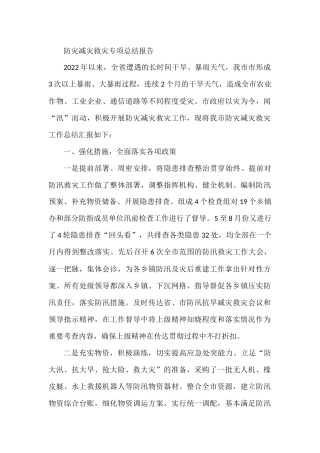防灾减灾救灾专项总结报告