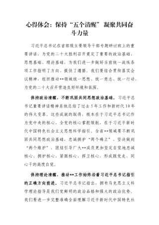 心得体会：保持“五个清醒” 凝聚共同奋斗力量