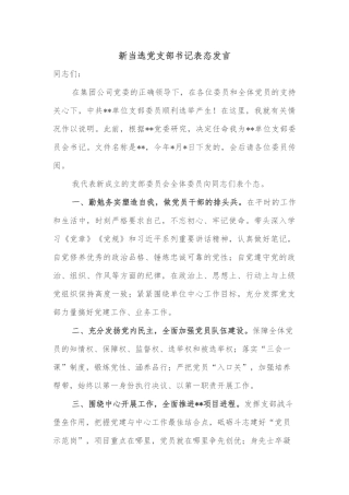 新当选党支部书记表态发言