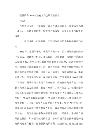 副县长在2022年政府工作会议上的讲话