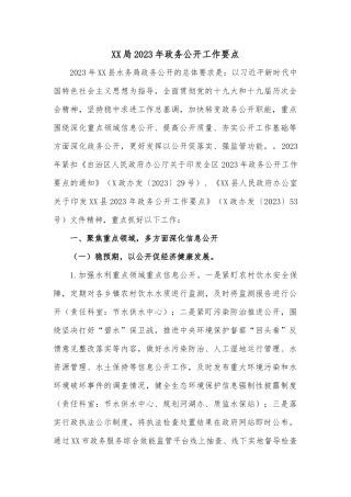 XX局2023年政务公开工作要点