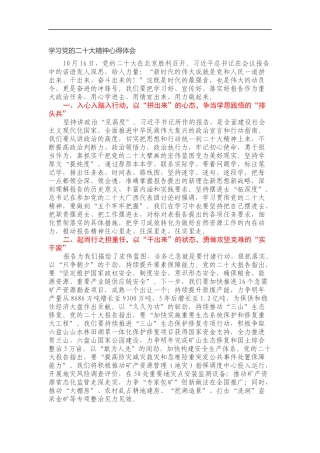 学习党的二十大精神心得体会2