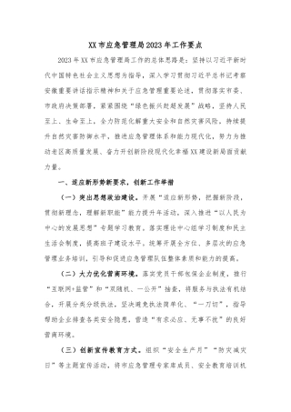 XX市应急管理局2023年工作要点