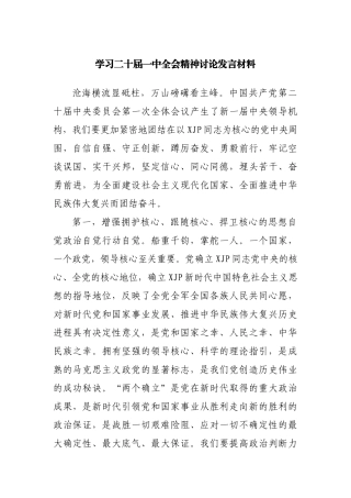 学习二十届一中全会精神讨论发言材料