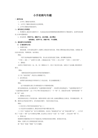2024年小升初病句专题