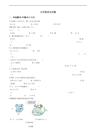2024年小升初式与方程