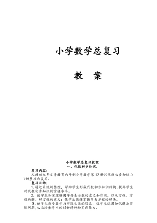2024年小升初数学复习教案