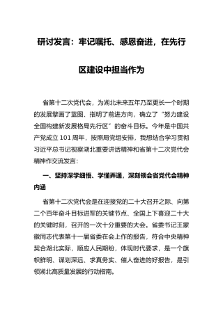 研讨发言：牢记嘱托、感恩奋进，在先行区建设中担当作为