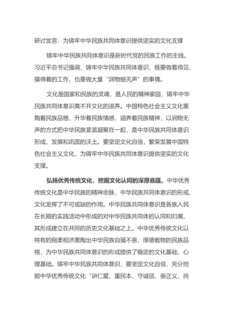 研讨发言：为铸牢中华民族共同体意识提供坚实的文化支撑