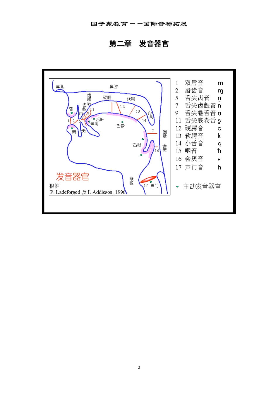 2024年小升初音标教材_第3页