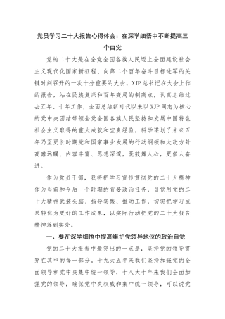 议程二4：XX学习二十大研讨发言