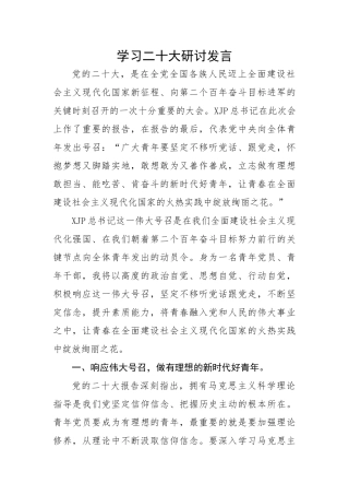 议程二5：XX学习二十大研讨发言