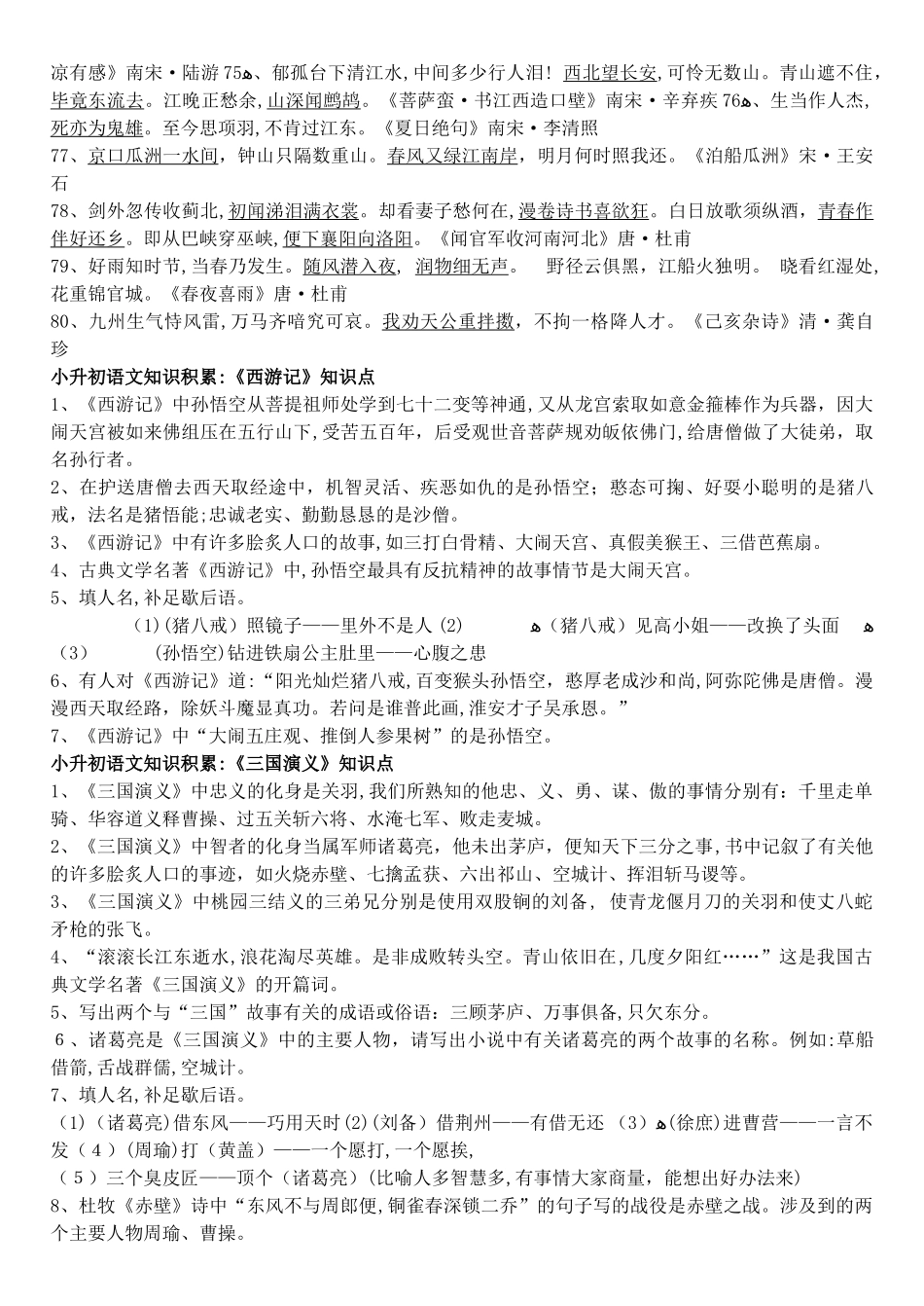 2024年小升初语文知识总复习_第3页