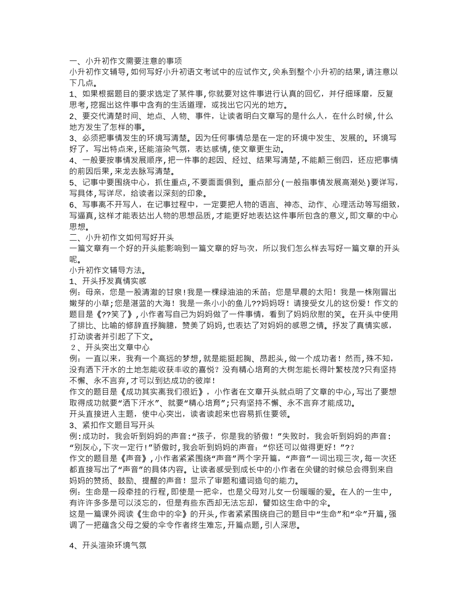 2024年小升初作文辅导_第1页