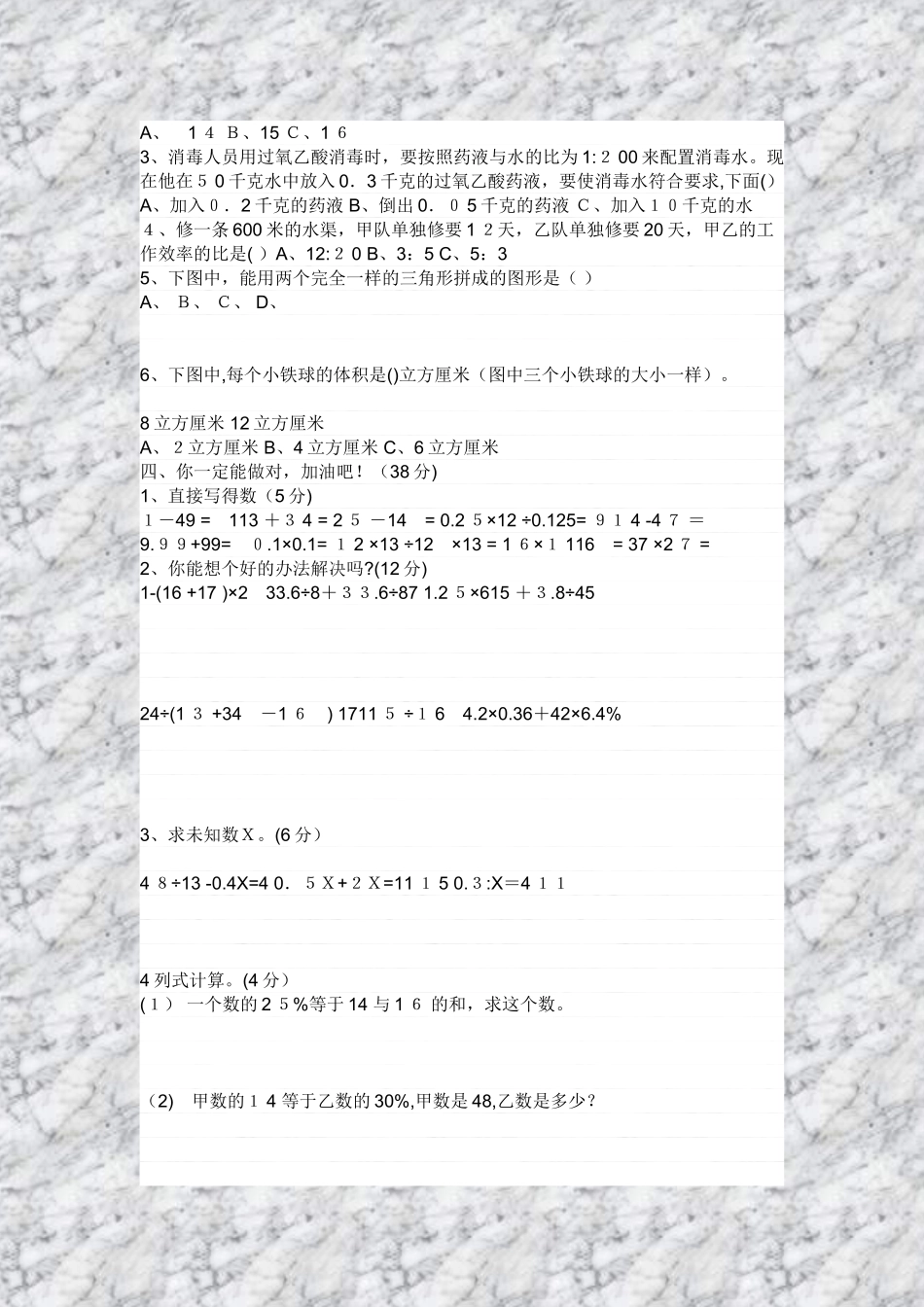 2024年小学六年级数学升学考试模拟试卷一_第2页