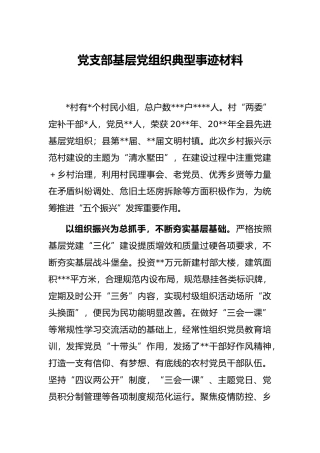 党支部基层党组织典型事迹材料