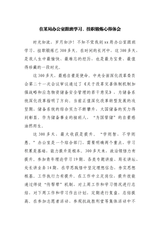 在办公室跟班学习、挂职锻炼心得体会