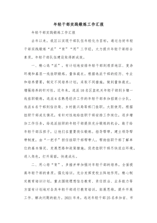 年轻干部实践锻炼工作汇报